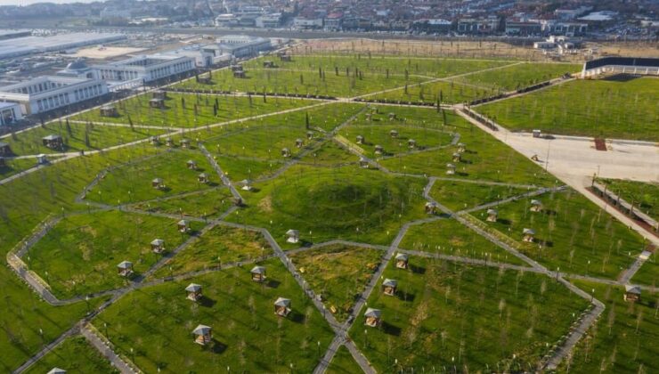 Milyarlık pistlere ot ektiler