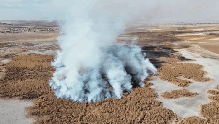 Önce kurudu sonra yandı! Konya’da facia yaşandı