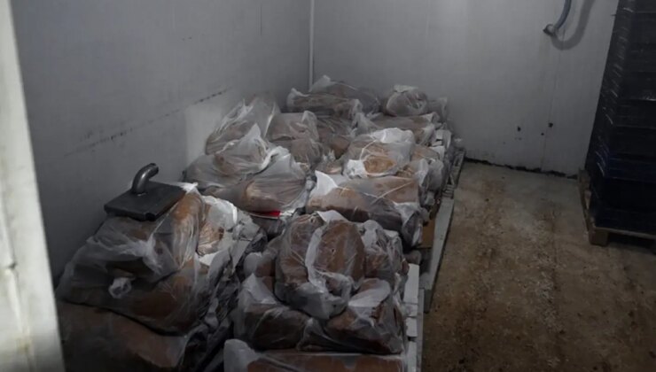 Yakalanmasa vatandaşlara yedireceklerdi! 60 tondan fazla ele geçirildi