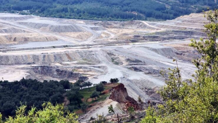 Yazık ettiniz Akbelen’e