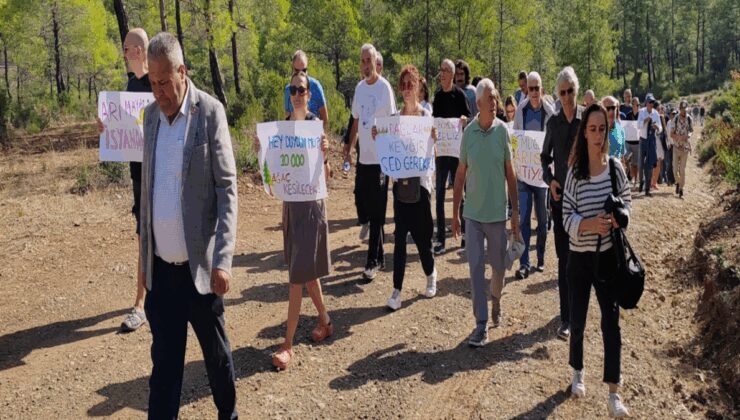Yeşilüzümlü’nün cennet ormanlarında yapılmak istenen madene mahkeme dur dedi