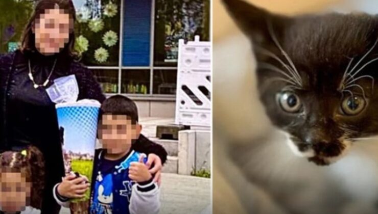 Zehirlenen böcek ailesinden geriye sadece o kalmıştı, o da isimsiz kaldı