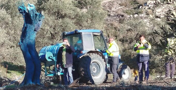 Akbelen’de kestikleri zeytin ağaçlarını maviye boyamaya başladılar