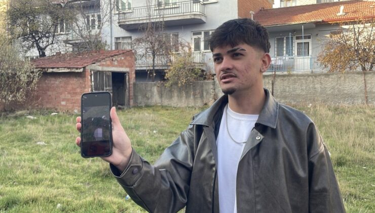 Boş arazide şiddete uğradıkları değerlendirilen 8 kedi ölüsü bulundu