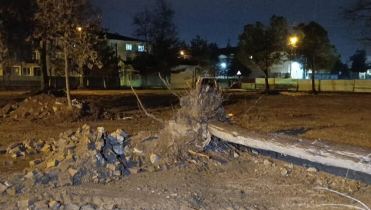 Bursa’da fırtına ağaç devirdi