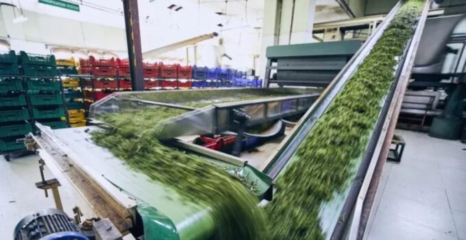 Dünyaca ünlü şirket Türkiye’deki fabrikalarını resmen sattı