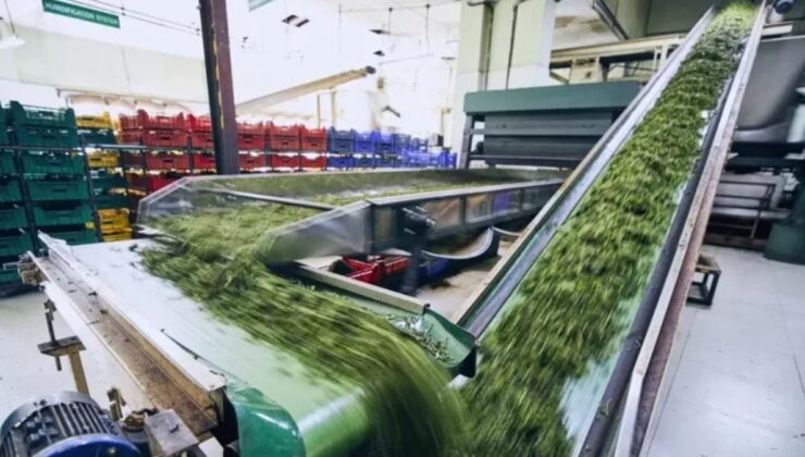 Dünyaca ünlü şirket Türkiye’deki fabrikalarını resmen sattı