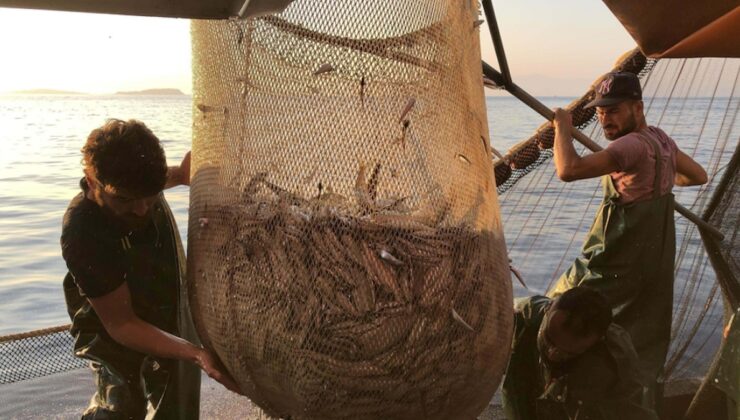 Hamsi Karadeniz’i terk etti: Tezgâhlarda fiyatlar uçuşa geçti
