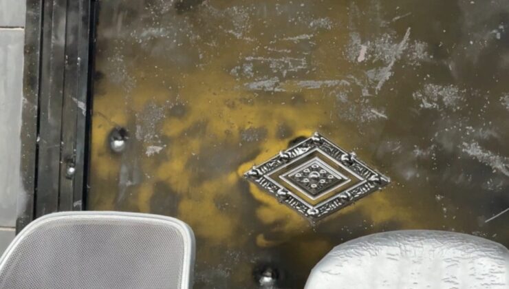 Hesaba itiraz edince dayak yedi: Mekanı kurşunlayarak intikam aldı