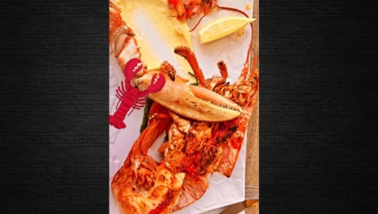 Istakoz derken AKP’li vekil topu ‘fes’e attı