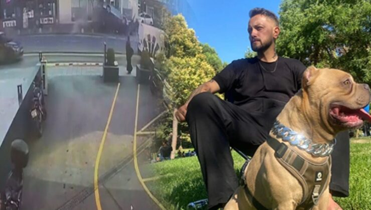 Köpeğini gezdirirken felaketi yaşadı: Hakan öldü Pablo kayıp!
