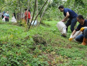 Mühendisler mevsimlik işçi oluyor