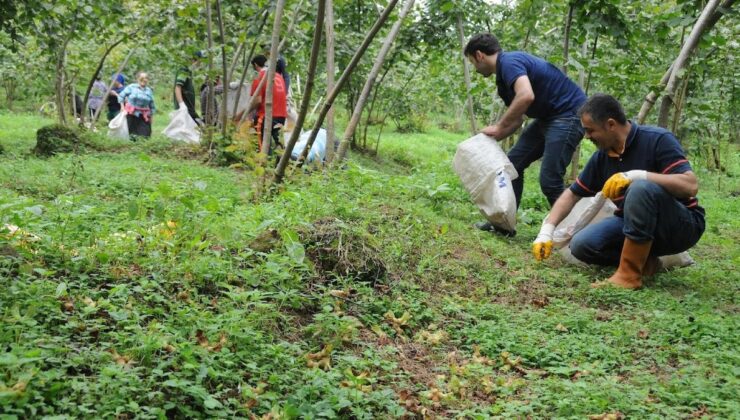 Mühendisler mevsimlik işçi oluyor