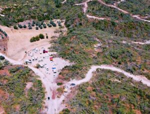 Ormanlarda yasayla kıyım