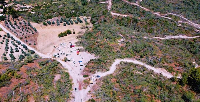 Ormanlarda yasayla kıyım