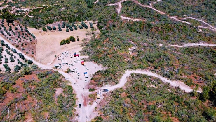 Ormanlarda yasayla kıyım