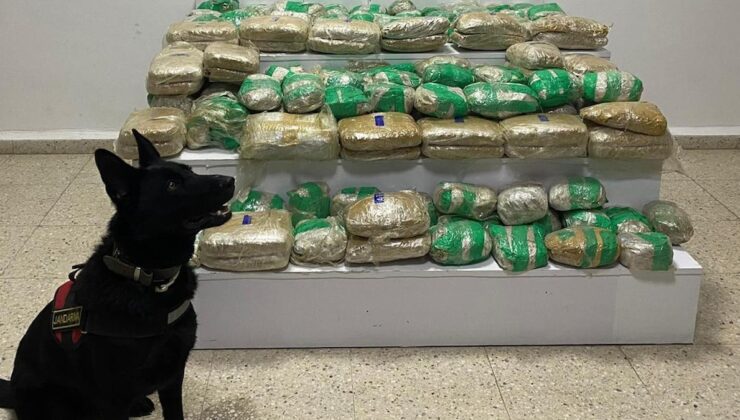Van Başkale’de 51 kilo 275 gram skunk ele geçirildi
