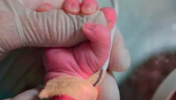 2 aylık bebek açlıktan ölmüştü: Aile boyu katil çıktılar!