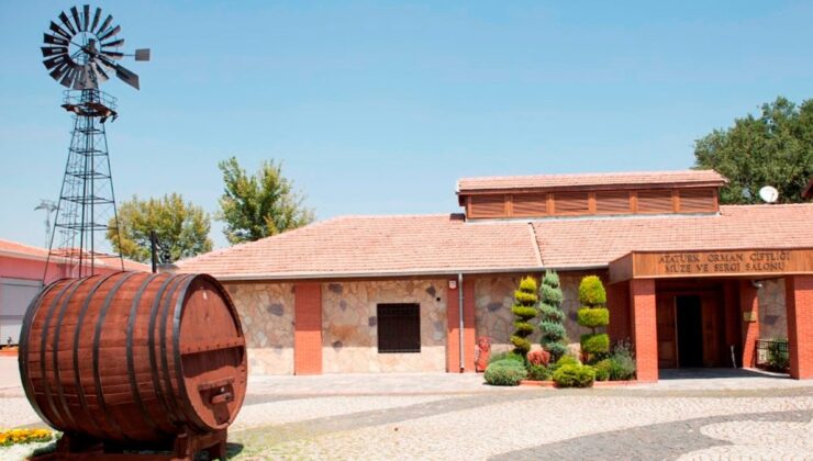 Ata’nın emanetini göz göre göre yok ettiler