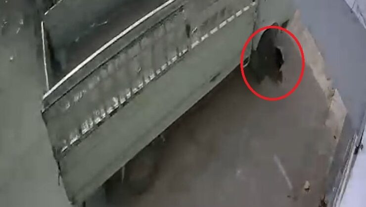 Kediyi ezip kaçan sürücüye verilen ceza alkış topladı! Bir ay boyunca barınakta çalışacak