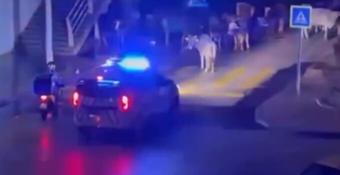 Polislerin anonsu sosyal medyanın diline düştü