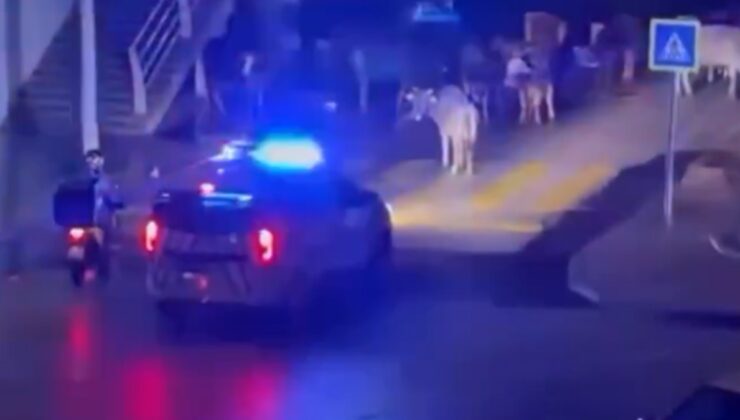 Polislerin anonsu sosyal medyanın diline düştü