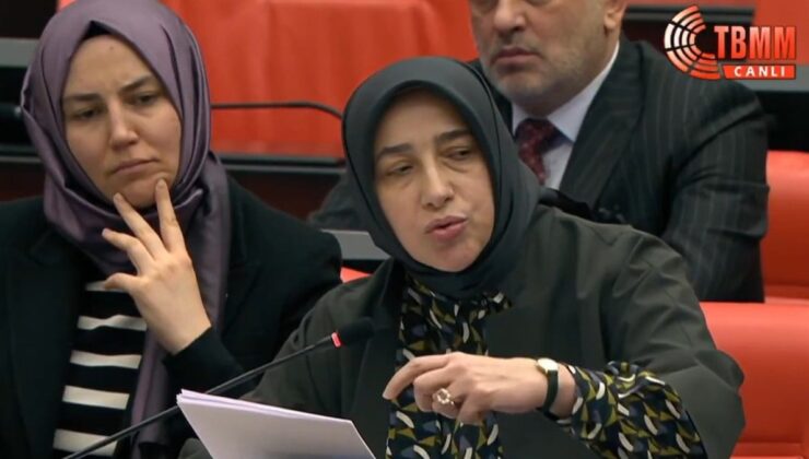 ‘Utanmıyoruz’ diyen AKP’li Zengin; bu sefer de emekli açıklamasıyla dillere düştü!