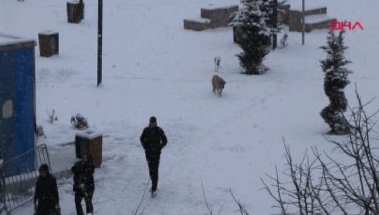 Van’da 363 yerleşim yeri ulaşıma kapandı