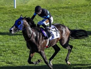 “100 milyonluk yarış atları kayıp” iddiasına açıklama geldi