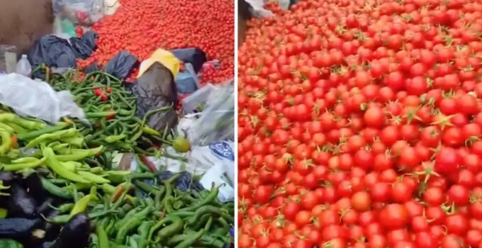Sapasağlam sebzeleri çöpe attılar