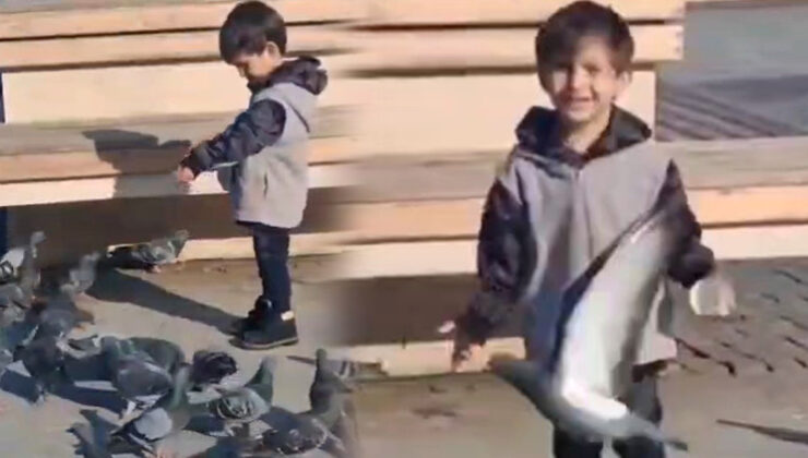 4 yaşındaki Serhat’ın ölümü Türkiye’yi yasa boğmuştu: Son anlarının görüntüsü ortaya çıktı