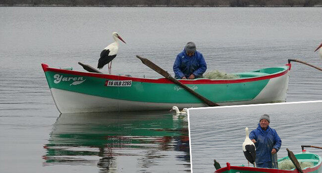 Adem Yılmaz ile Yaren leylekten yeni görüntü: İlk kayık buluşması gerçekleşti! ‘Onu evladım gibi seviyorum’