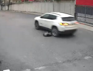 Avcılar’da vicdanları sızlatan olay: Köpeği ezip yoluna devam etti