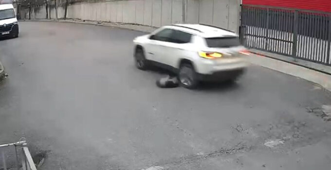 Avcılar’da vicdanları sızlatan olay: Köpeği ezip yoluna devam etti