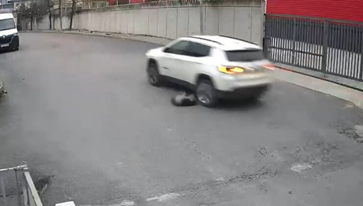 Avcılar’da vicdanları sızlatan olay: Köpeği ezip yoluna devam etti