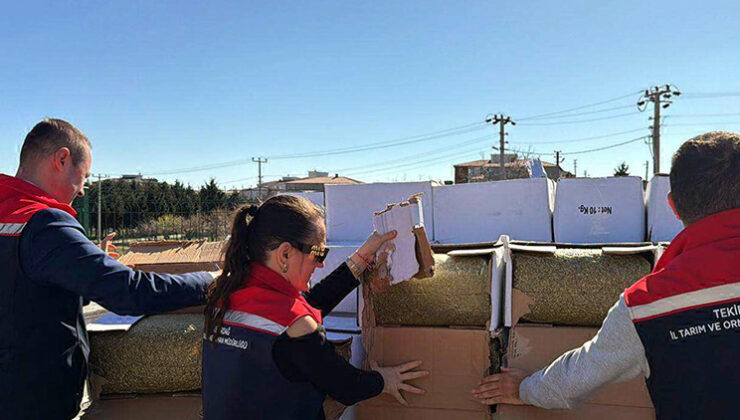 Baklavada kullanacaklardı: Gıda sahtekarları yakalandı