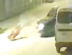 Başkanın oğlu tutuklandı