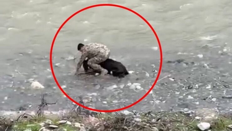 Başrolde polis memuru var: Siirt’te çekilen görüntü Türkiye gündemine oturdu