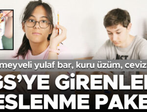 Başvuru kılavuzu yayımlandı… LGS’ye girenlere beslenme paketi