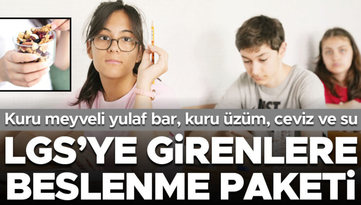 Başvuru kılavuzu yayımlandı… LGS’ye girenlere beslenme paketi