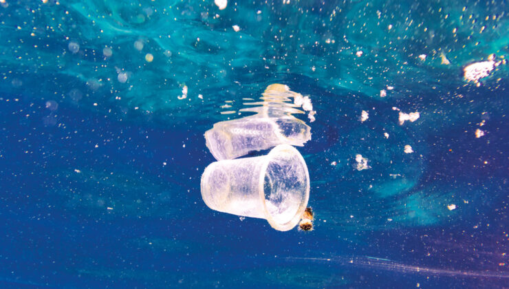 Denizlerde dip temizliği… 325 bin ton atık bertaraf edildi