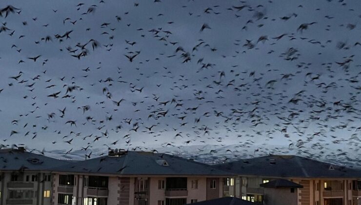 Görüntüler doğudaki ilimizden! Şehri istila ettiler