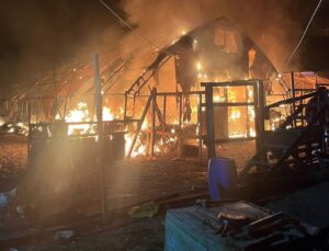 Kanatlı ve küçükbaş hayvan çiftliğinde yangın: 580 hayvan öldü