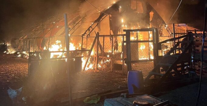 Kanatlı ve küçükbaş hayvan çiftliğinde yangın: 580 hayvan öldü