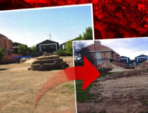 Korunması gereken milli servet kepçe ile yok edildi: Tepki çeken yıkıma suç duyurusu