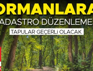 Ormanlara kadastro düzenlemesi