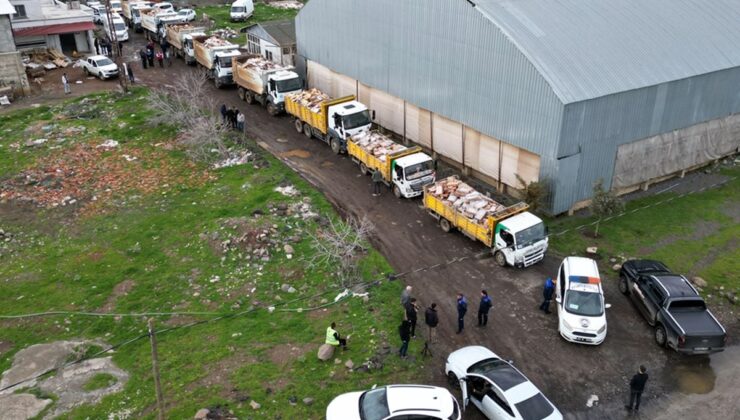 Şanlıurfa’da 50 ton bozuk tavuk eti ele geçirildi