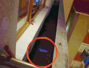 Vahşeti ele veren mavi ışık