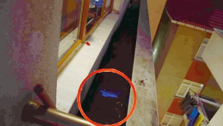 Vahşeti ele veren mavi ışık