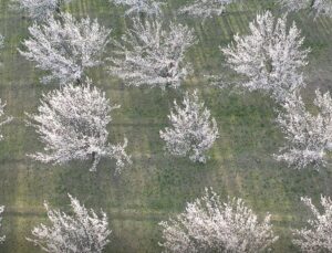Akdeniz değil Doğu’nun Çukurova’sı! Görüntüler mest etti
